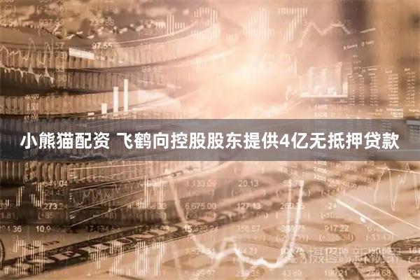 小熊猫配资 飞鹤向控股股东提供4亿无抵押贷款