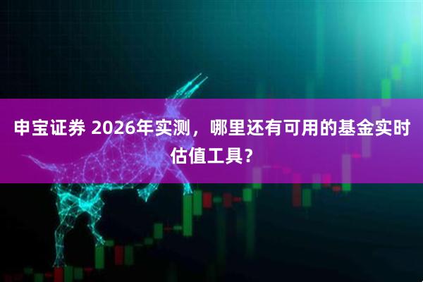 申宝证券 2026年实测，哪里还有可用的基金实时估值工具？