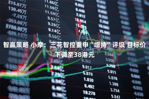 智赢策略 小摩:三花智控重申“增持”评级 目标价下调至38港元